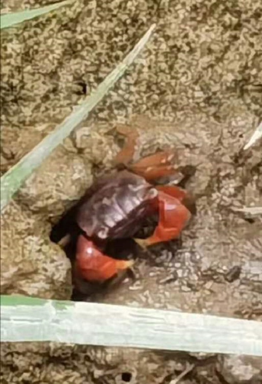 162598759727288.jpg 微信图片_20210711150600.jpg