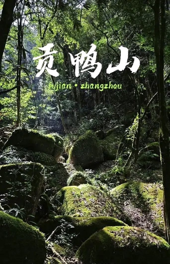 微信图片_20250731001436.jpg