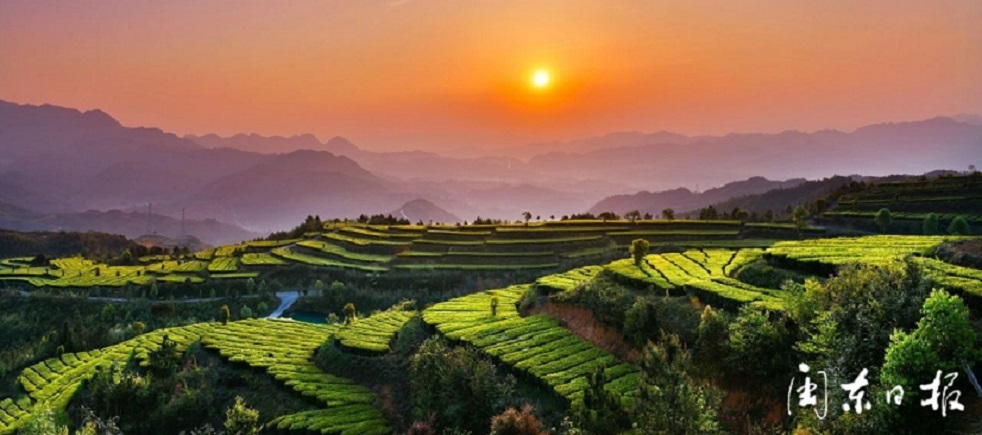 175530521566125.jpg 微信图片_20250816083827.jpg