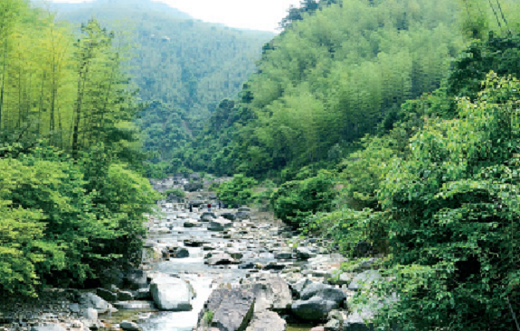 图片.png48 - 副本.png