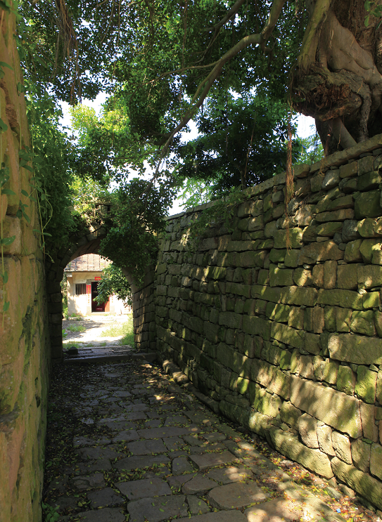 177263556886339.png 图片.png39.png