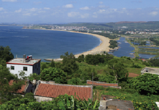 177263605322317.png 图片.png42 - 副本.png