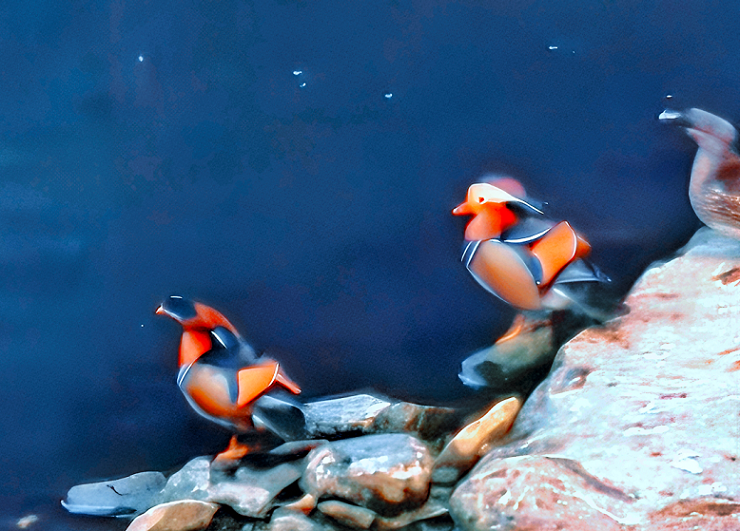 177431720442969.png 微信图片_2026-03-24_094438_665.png