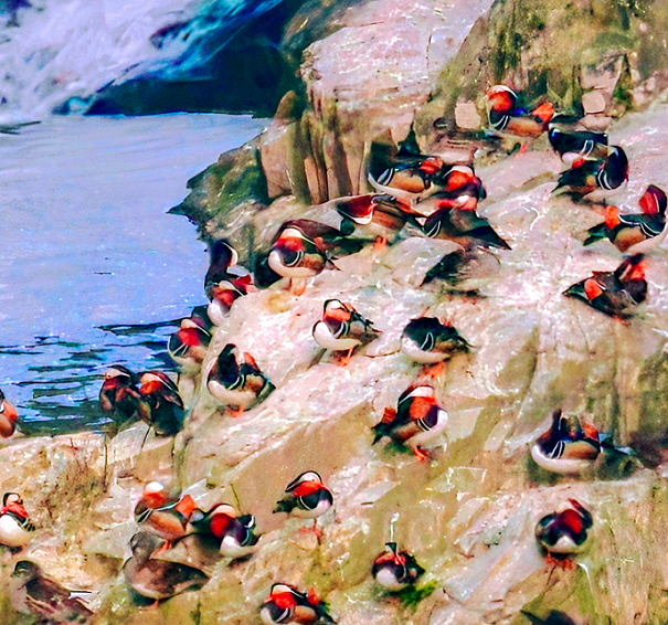 177431731247881.png 微信图片_2026-03-24_094509_008.png