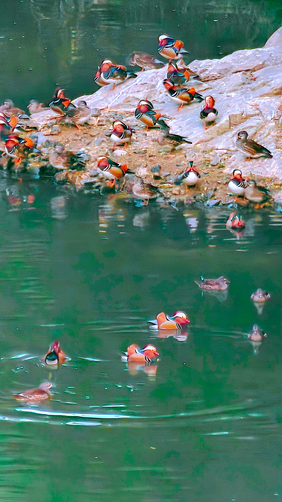 177431738850856.png 微信图片_2026-03-24_094548_762.png