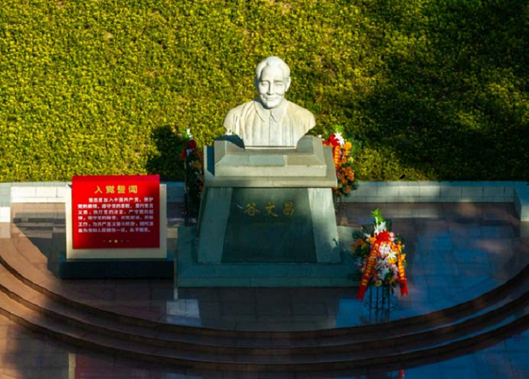 图片.png007.png